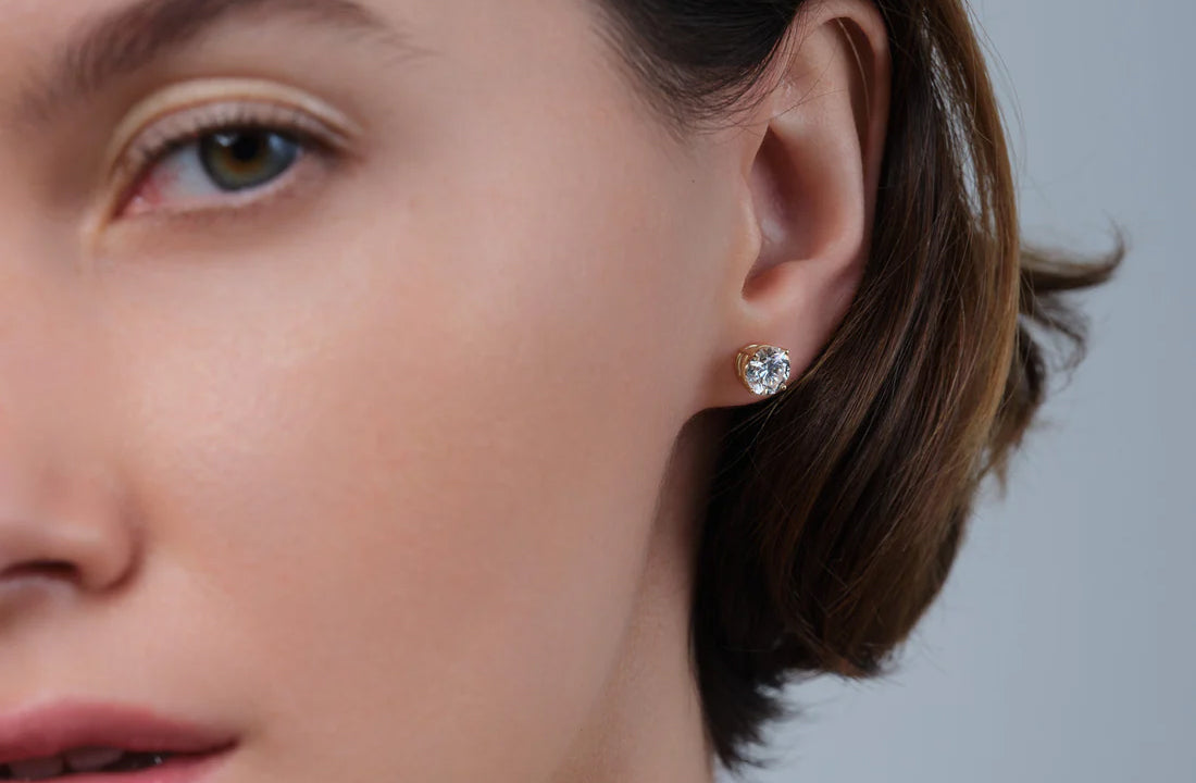 Discover Our Collections