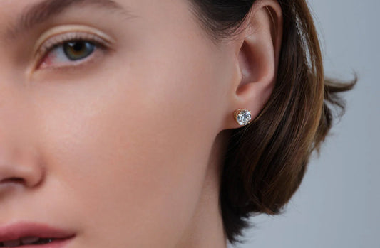 Discover Our Collections